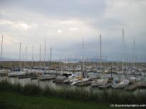 Yachts in Great Salt Lake City Yacht Club.jpg