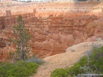 Wavy shaped rock formations in Bryce Canyon.jpg