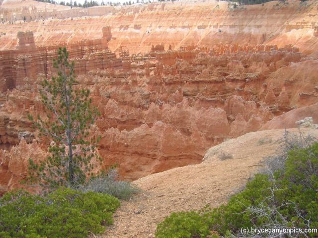 Wavy shaped rock formations in Bryce Canyon.jpg
