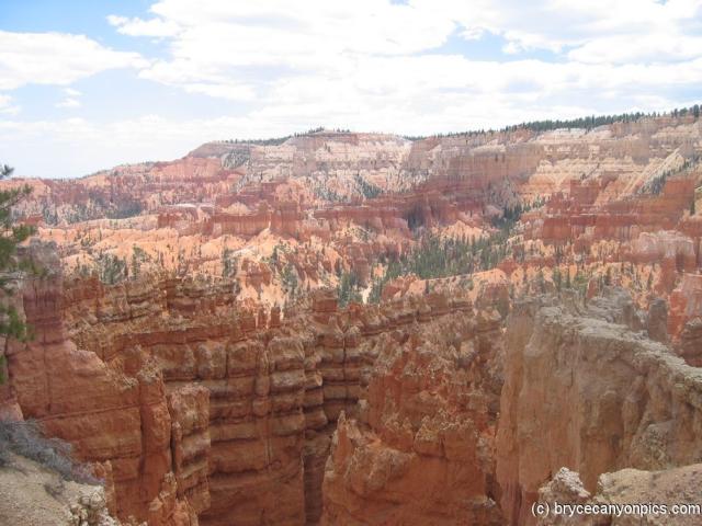 Bryce Canyon photo.jpg