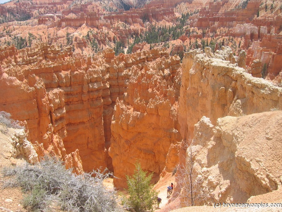 Looking down into Bryce Canyon (2).jpg

