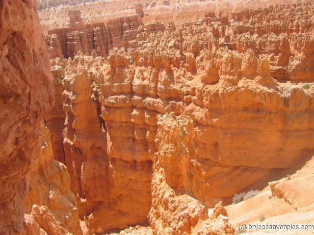 Bryce Canyon rock formations.jpg
