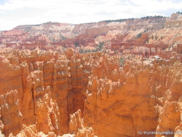 Bryce Canyon jaggies.jpg
