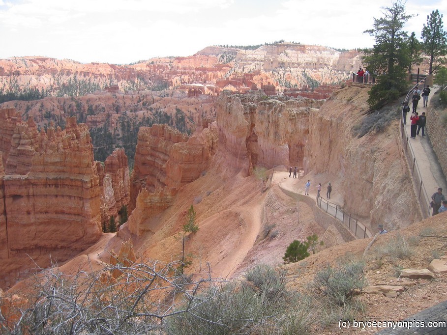 Bryce Canyon trail.jpg
