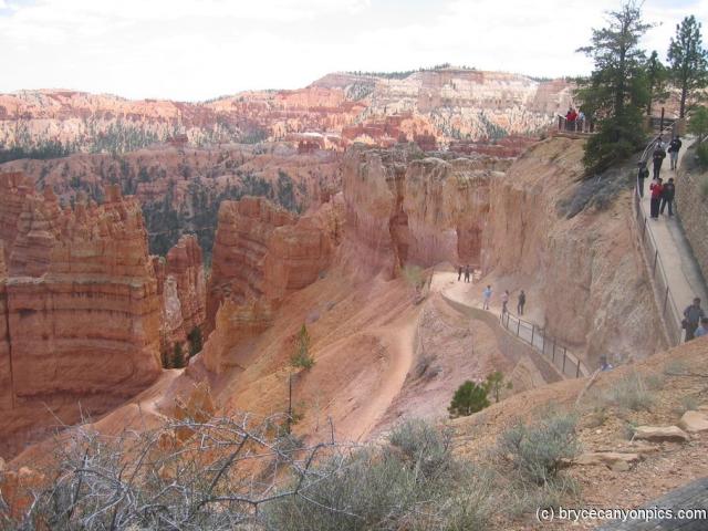 Bryce Canyon trail.jpg