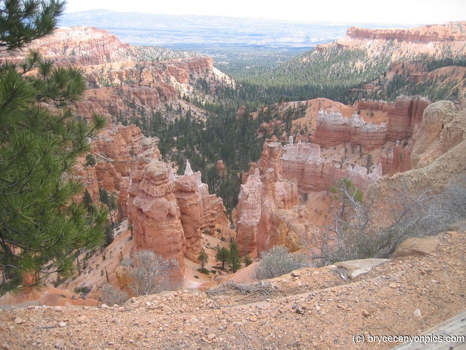 Looking down into Bryce Canyon.jpg
