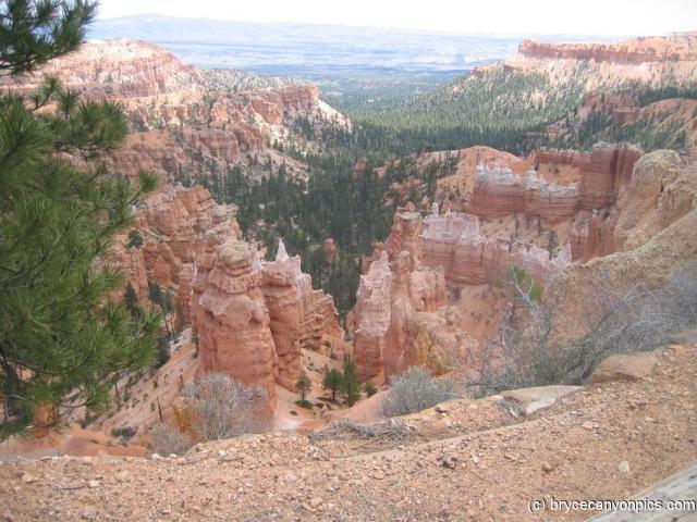 Looking down into Bryce Canyon.jpg