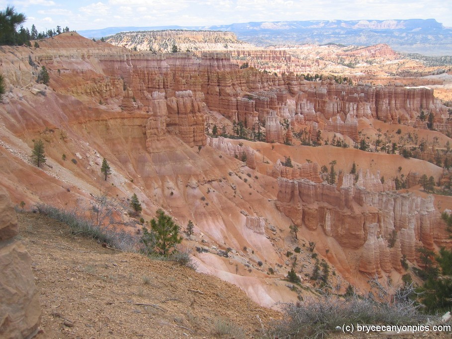 Cool rock formations in Bryce Canyon.jpg
