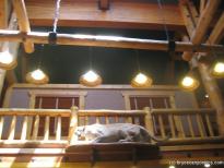 Inside the Best Western Ruby's Inn in Bryce Canyon Utah.jpg
