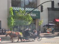 Horse carriage in Salt Lake City.jpg
