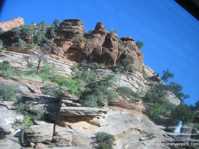 Jagged rocks in Zion National Park as viewed from tour bus.jpg
