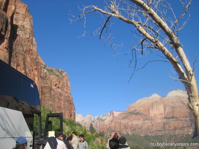 Tour bus in Zion National Park.jpg
