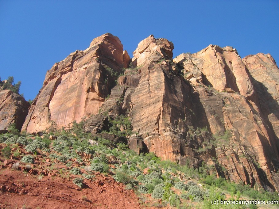 Squarish jagged hills of Zion National Park.jpg