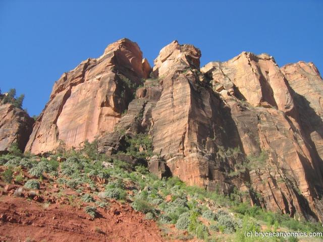 Squarish jagged hills of Zion National Park.jpg