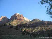 Tree covered hills of Zion National Park.jpg